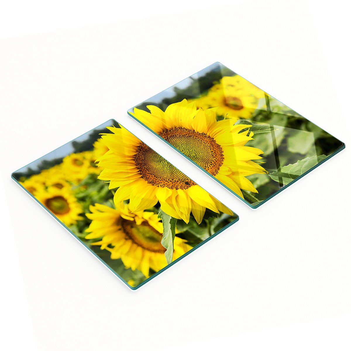 Multifunctionele decoratieve glazen borden Zonnebloemveld 2x40x52 cm