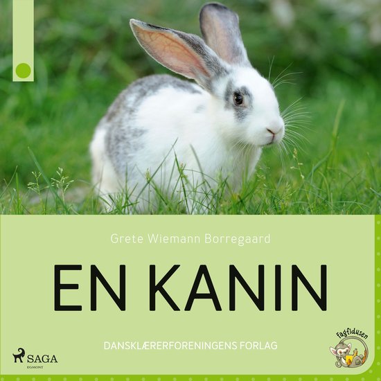 En kanin - cover