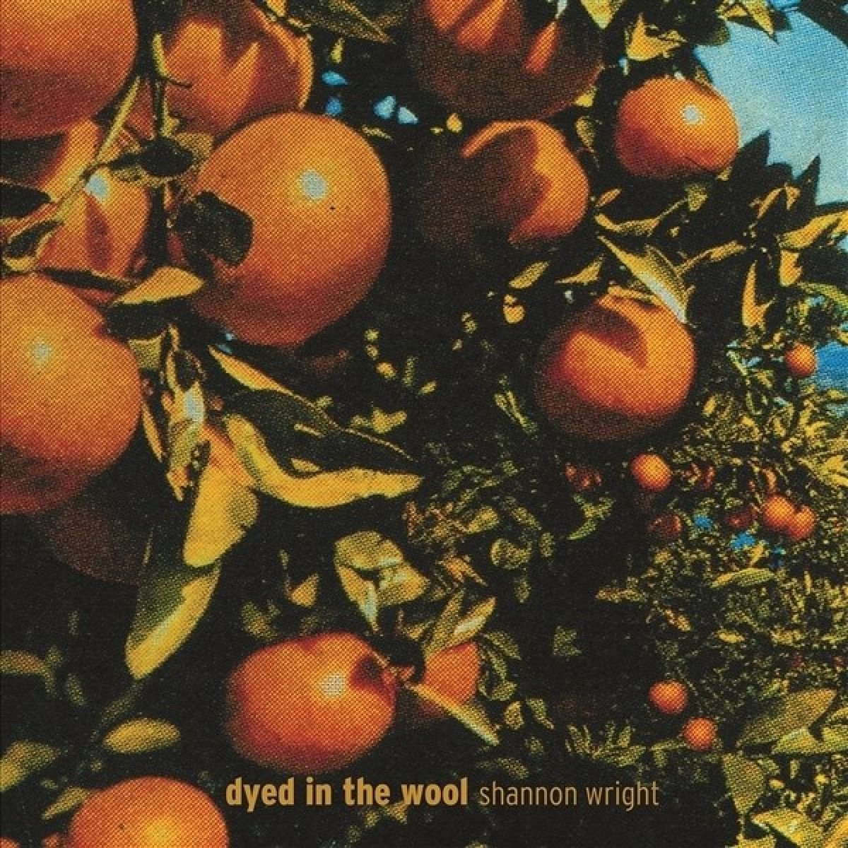 Shannon Wright - Dyed In The Wool (LP) (Coloured Vinyl)