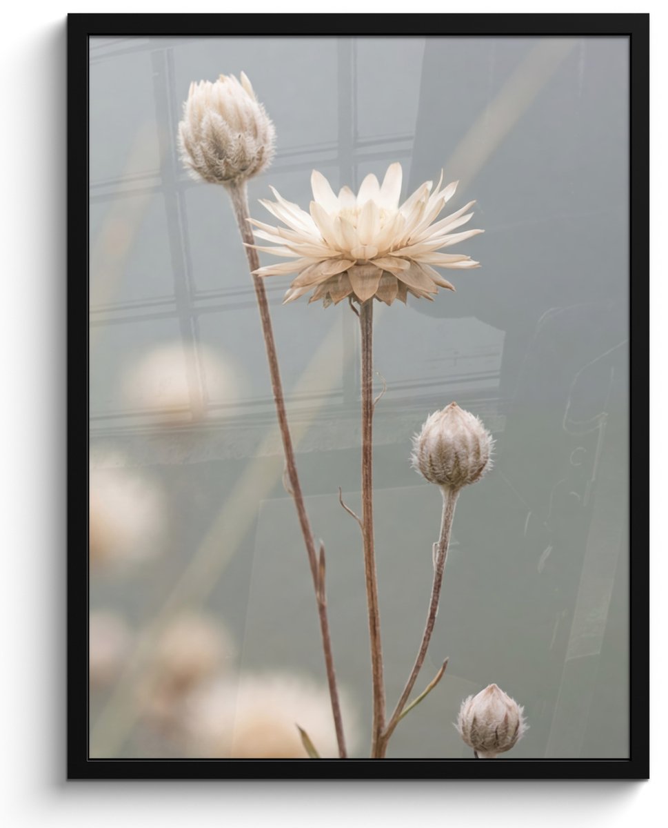 FrameYourWall Poster in lijst - Fotolijst 60x80 cm - Posters - Strobloemen - Wit - Daglicht - Posterlijst zwart - Decoratie - Wanddecoratie woonkamer - Muurdecoratie slaapkamer