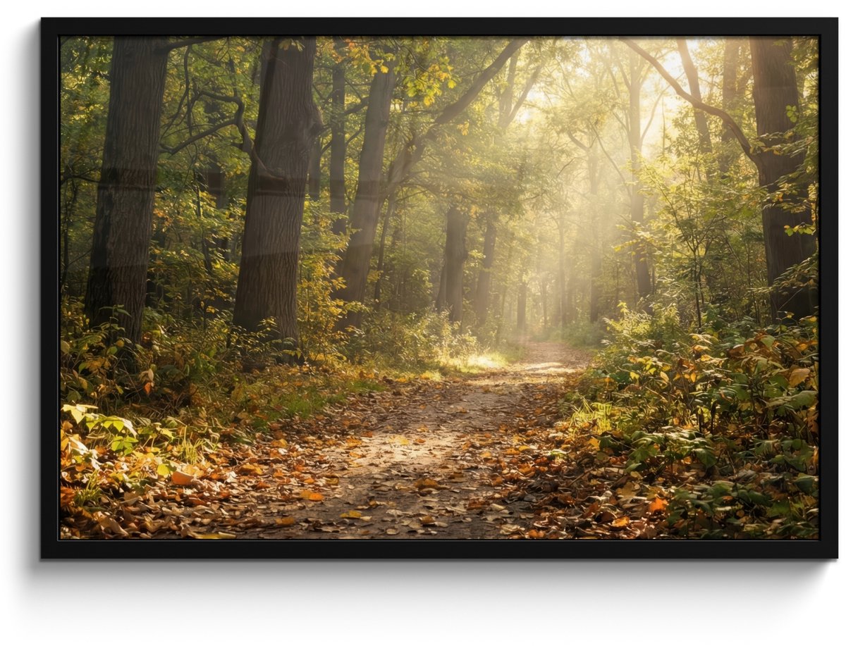 FrameYourWall Poster in lijst - Fotolijst 90x60 cm - Posters - Zonlicht - Bospad - Bomen - Posterlijst zwart - Decoratie - Wanddecoratie woonkamer - Muurdecoratie slaapkamer