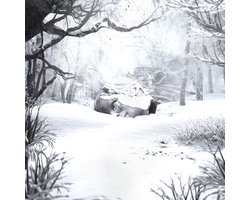SZNZ: Winter