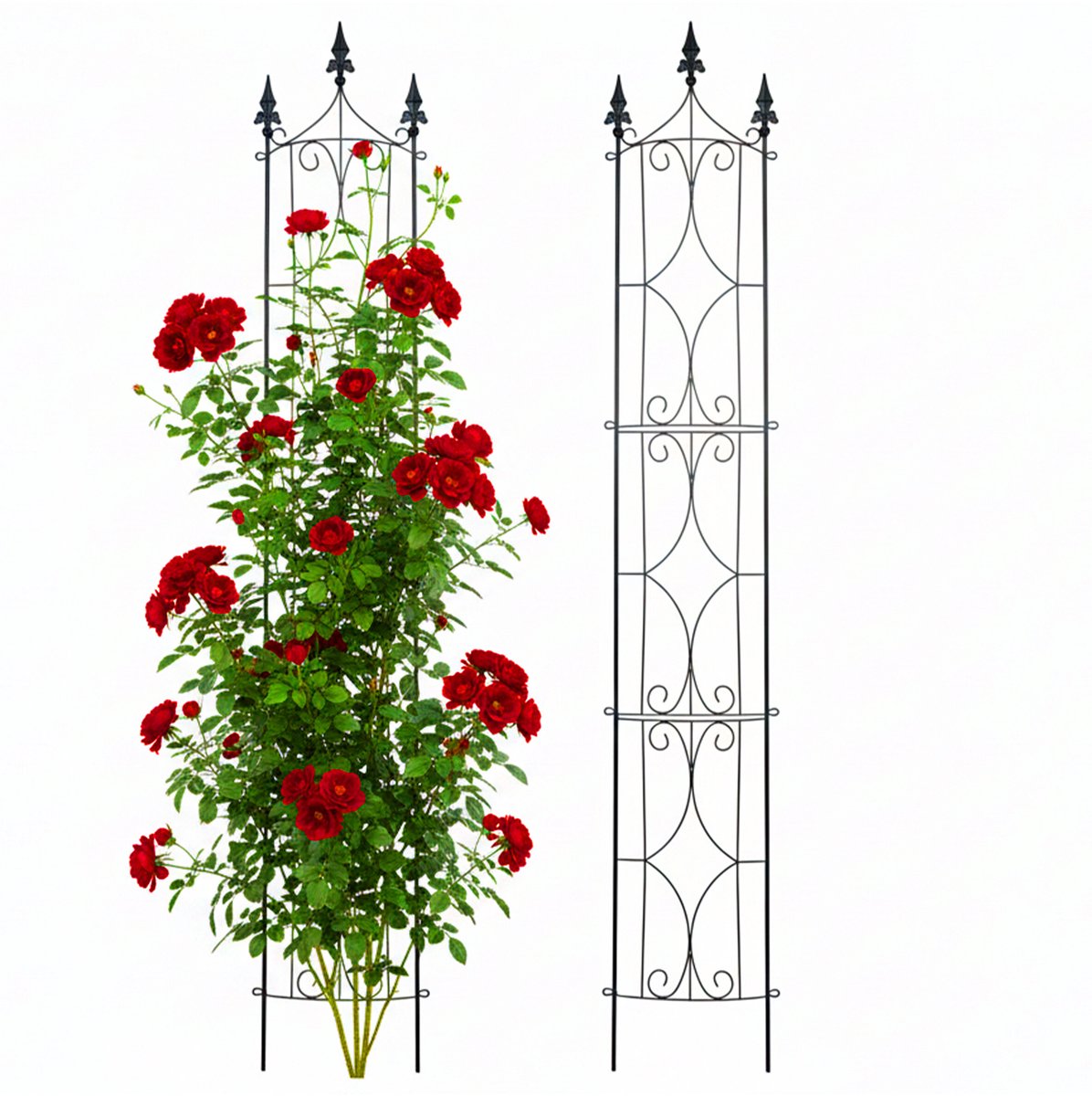 Plantenklimrek - set van 2 - 183 cm - metaal