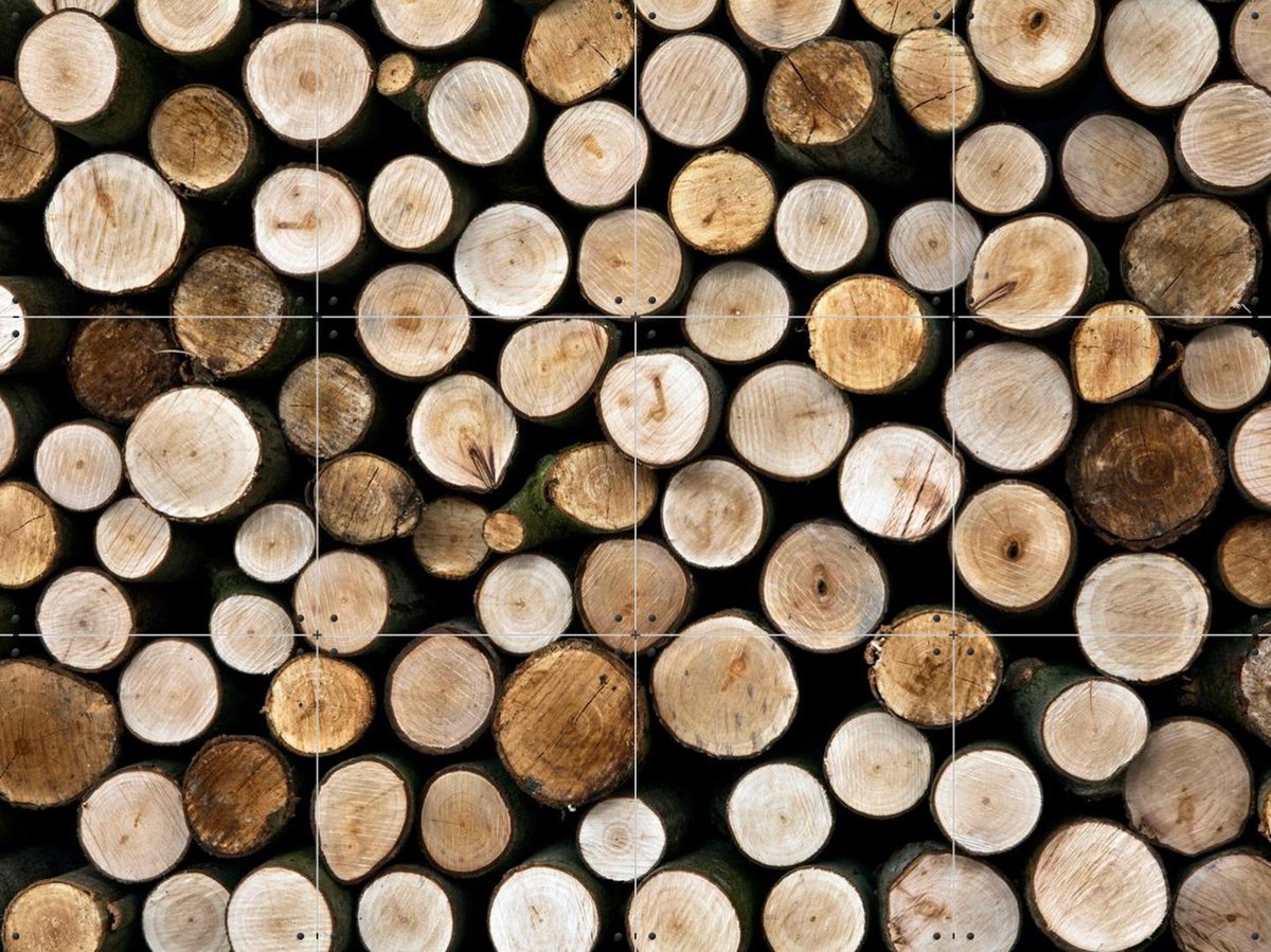 IXXI Wood, IXXI - 80 x 60 cm - Gratis ophangtool - Grote wanddecoratie en posters - Naturalisme, Fotografie, Slaapkamer, Eetkamer, Woonkamer, Natuur