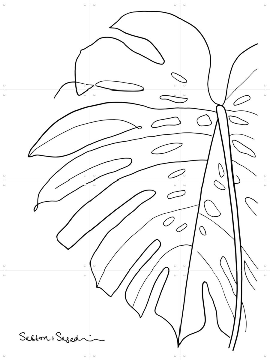 IXXI Monstera white, Sefton & Segedin - 60 x 80 cm - Gratis ophangtool - Grote wanddecoratie en posters - Minimalisme, Grafisch Ontwerp, Illustraties