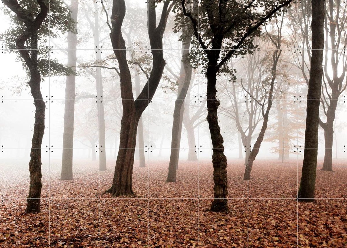 IXXI Whispering, Claire Droppert - 140 x 100 cm - Gratis ophangtool - Grote wanddecoratie en posters - Realisme, Naturalisme, Fotografie