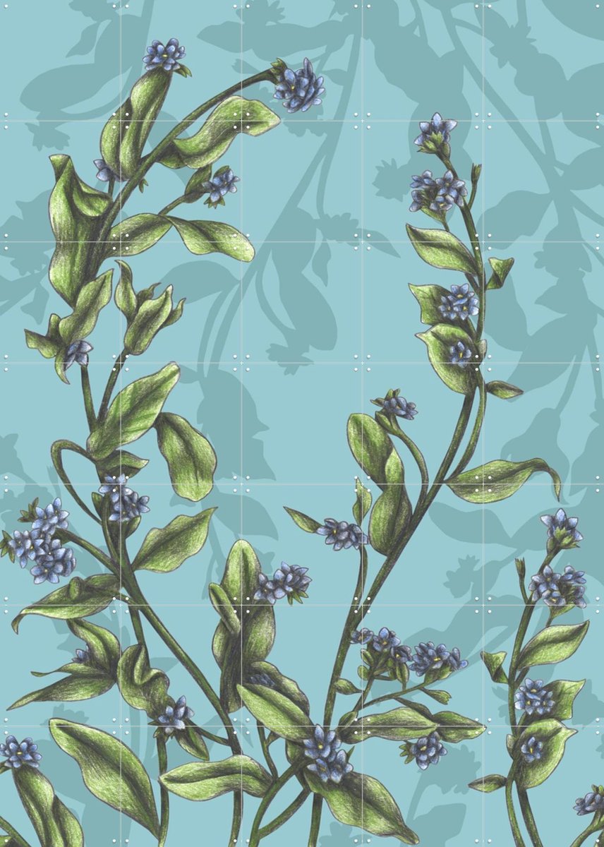 IXXI Forget-Me-Not, Cecilia Battaini - 100 x 140 cm - Gratis ophangtool - Grote wanddecoratie en posters - Naturalisme, Illustraties, Woonkamer