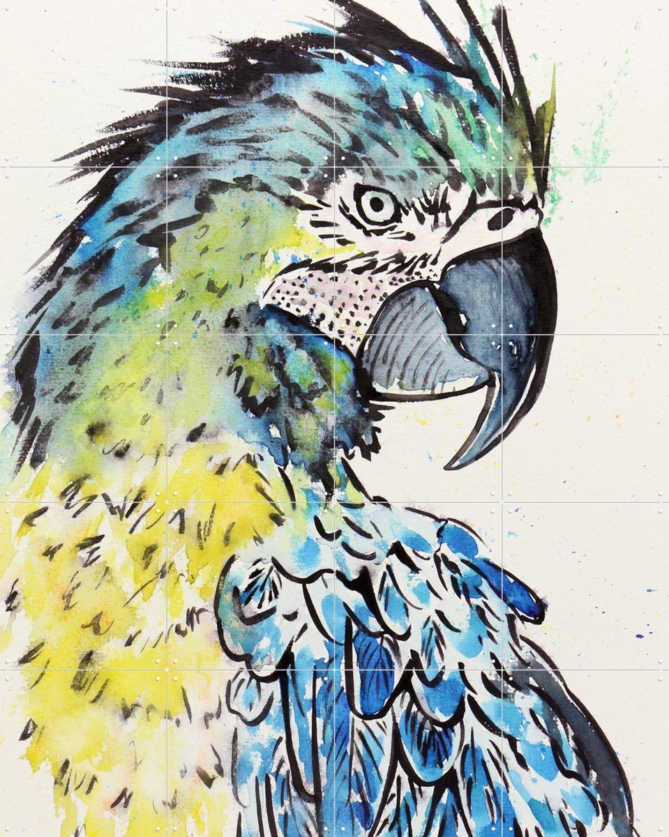 IXXI The Blue Macaw Parrot, Natalie Bruns - 80 x 100 cm - Gratis ophangtool - Grote wanddecoratie en posters - Illustraties, Kleurrijk, Aquarel