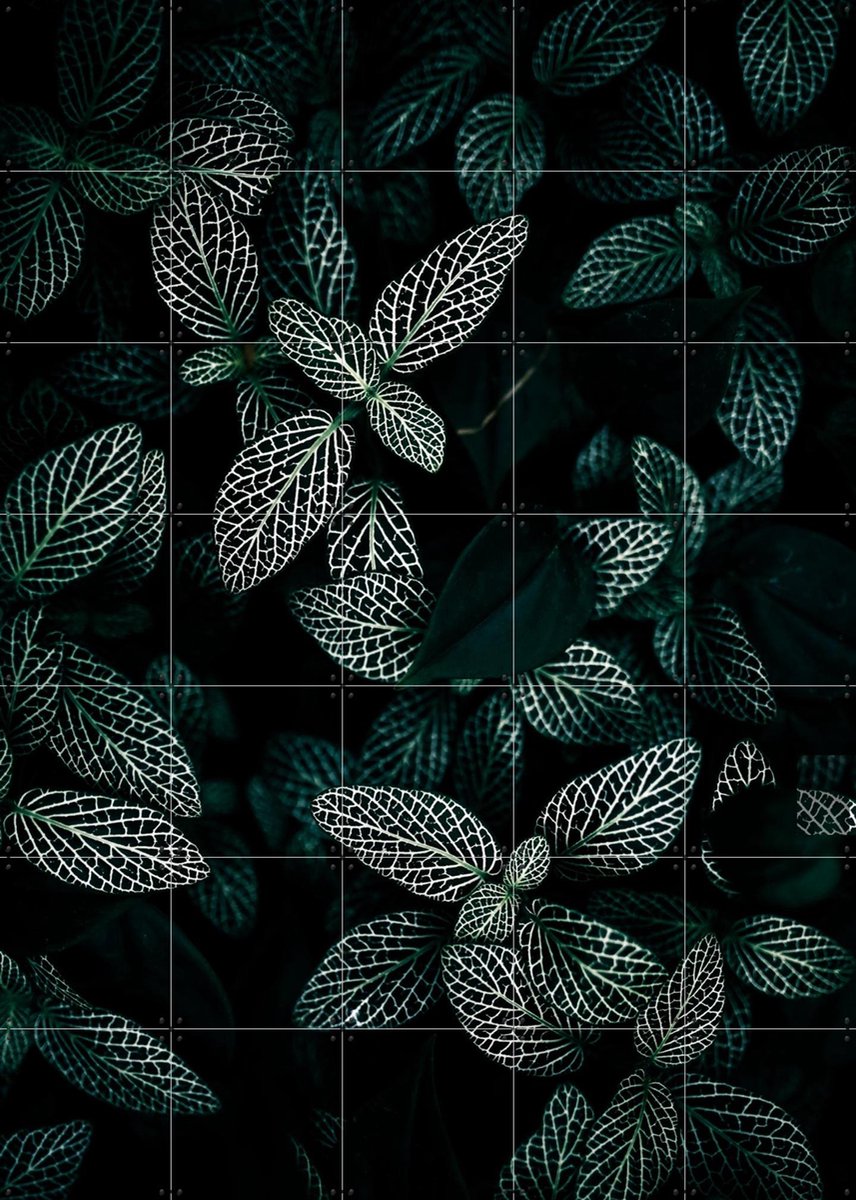 IXXI Dark Leaves, Mareike Böhmer - 100 x 140 cm - Gratis ophangtool - Grote wanddecoratie en posters - Fotografie, Naturalisme, Slaapkamer, Woonkamer