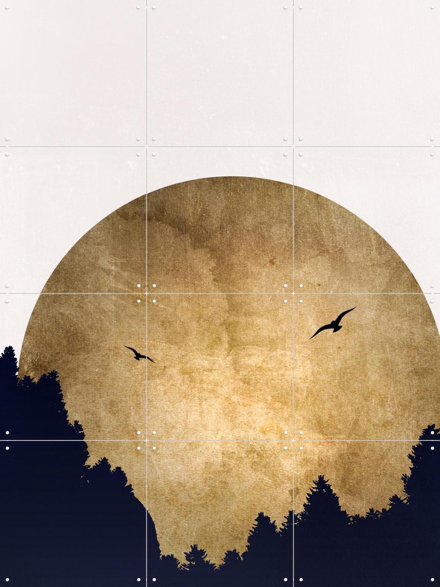 IXXI Two Birds, Kubistika - 60 x 80 cm - Gratis ophangtool - Grote wanddecoratie en posters - Geometrische Kunst, Minimalisme, Vintage, Grafisch