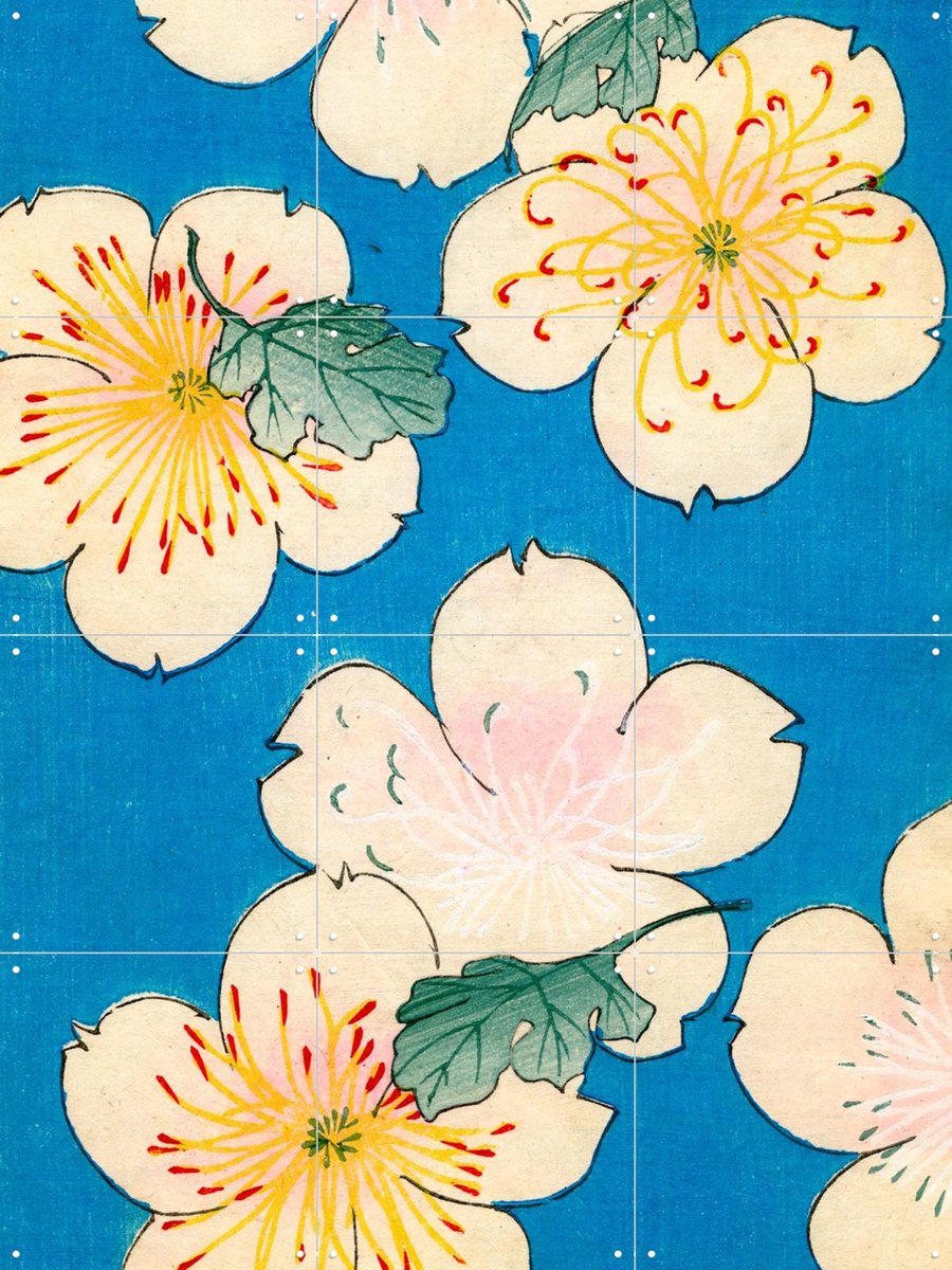 IXXI Dogwood Blossoms 1883, Bridgeman Images - 60 x 80 cm - Gratis ophangtool - Grote wanddecoratie en posters - Klassiek, Illustraties, Houtsnede