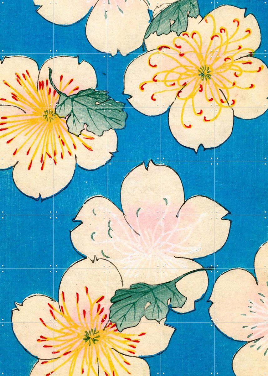 IXXI Dogwood Blossoms 1883, Bridgeman Images - 100 x 140 cm - Gratis ophangtool - Grote wanddecoratie en posters - Klassiek, Illustraties, Houtsnede