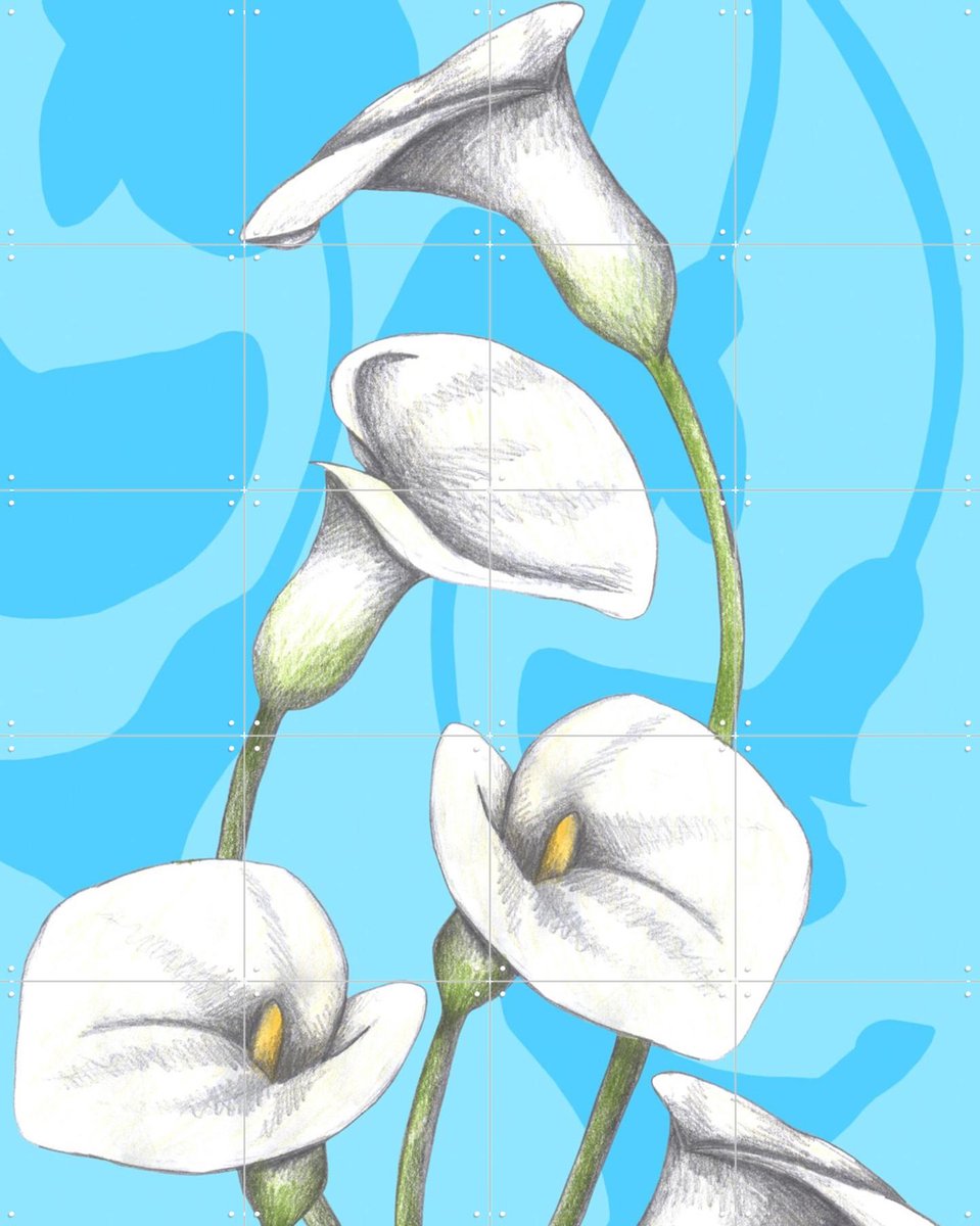 IXXI Calla Lily, Cecilia Battaini - 80 x 100 cm - Gratis ophangtool - Grote wanddecoratie en posters - Illustraties, Digitale Kunst, Grafisch Ontwerp