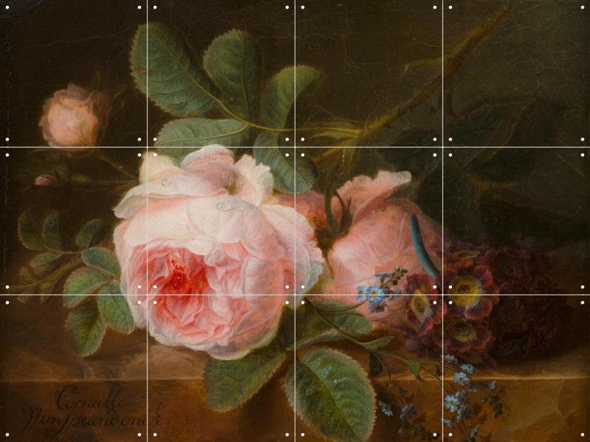 IXXI Koolroos, Gerard van Spaendonck & Het Noordbrabants Museum - 80 x 60 cm - Gratis ophangtool - Grote wanddecoratie en posters - Naturalisme