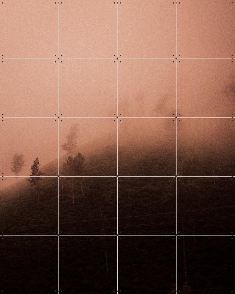 IXXI Red Morning, Chris Abatzis - 80 x 100 cm - Gratis ophangtool - Grote wanddecoratie en posters - Fotografie, Slaapkamer, Woonkamer, Winter, Mist