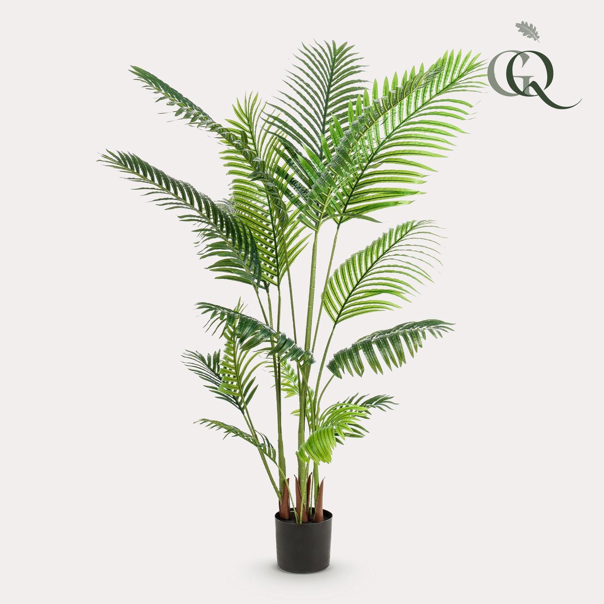 Green Boutiq Kunstplant - Howea Forsteriana - Paradijspalm - 160 cm Bruin