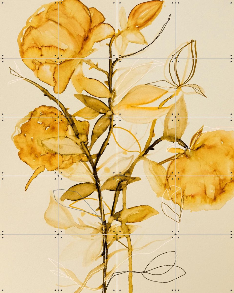 IXXI Rose Bush Yellow, Leigh Viner - 80 x 100 cm - Gratis ophangtool - Grote wanddecoratie en posters - Illustraties, Line art, Aquarel, Woonkamer
