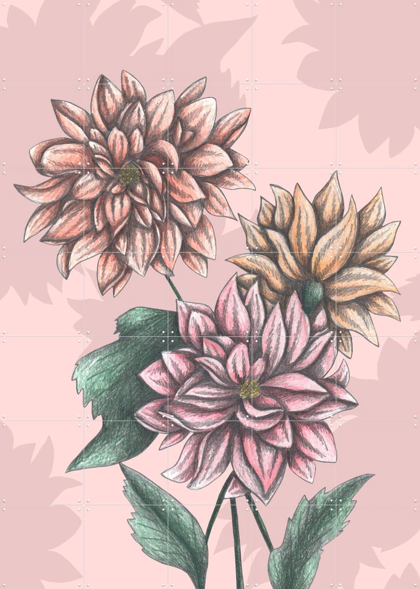 IXXI Pink Dahlias, Cecilia Battaini - 100 x 140 cm - Gratis ophangtool - Grote wanddecoratie en posters - Illustraties, Tekeningen, Slaapkamer