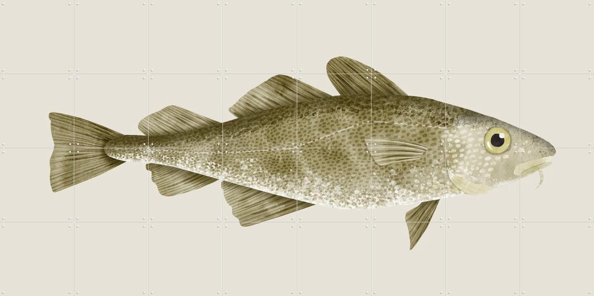 IXXI Codfish, Merel Corduwener - 160 x 80 cm - Gratis ophangtool - Grote wanddecoratie en posters - Illustraties, Keuken, Eetkamer, Woonkamer, Natuur