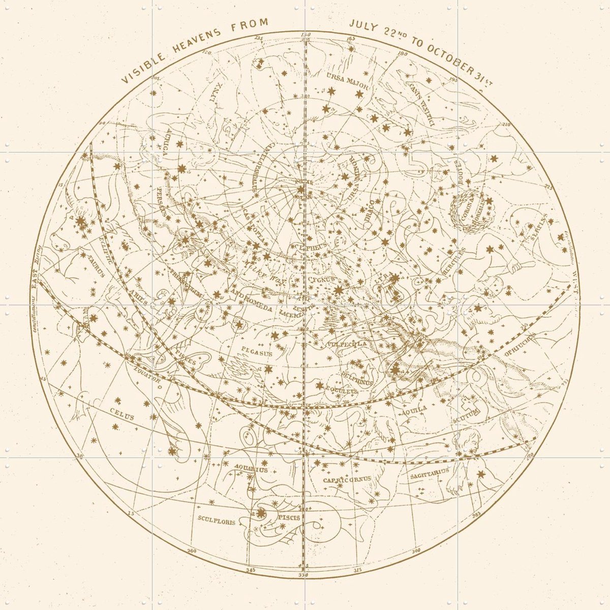 IXXI Visible Heavens Gold, Aster Edition - 80 x 80 cm - Gratis ophangtool - Grote wanddecoratie en posters - Illustraties, Technische Tekening