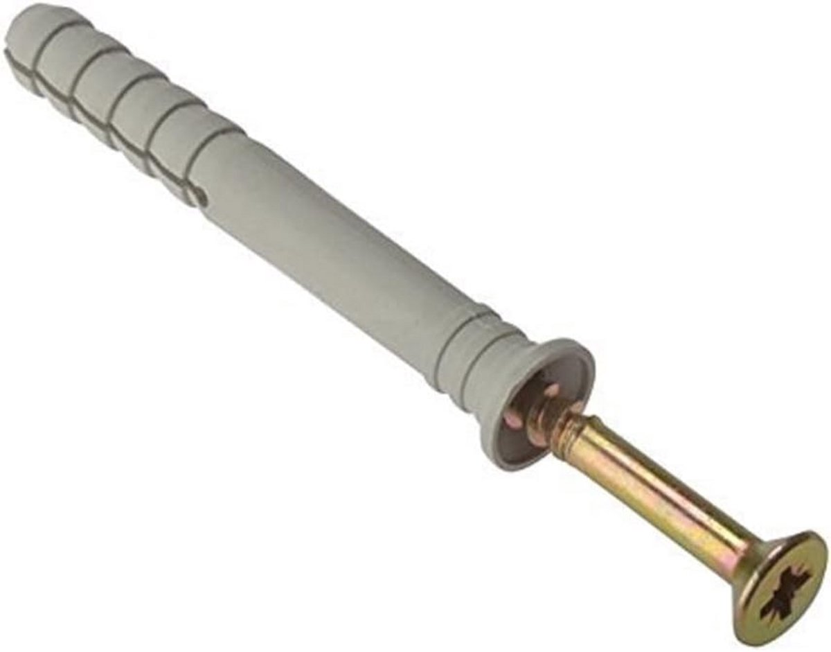 Hamerbevestiging voor Massieve Muur met Nylon Plug, M8 x 60mm - Verpakking van 20