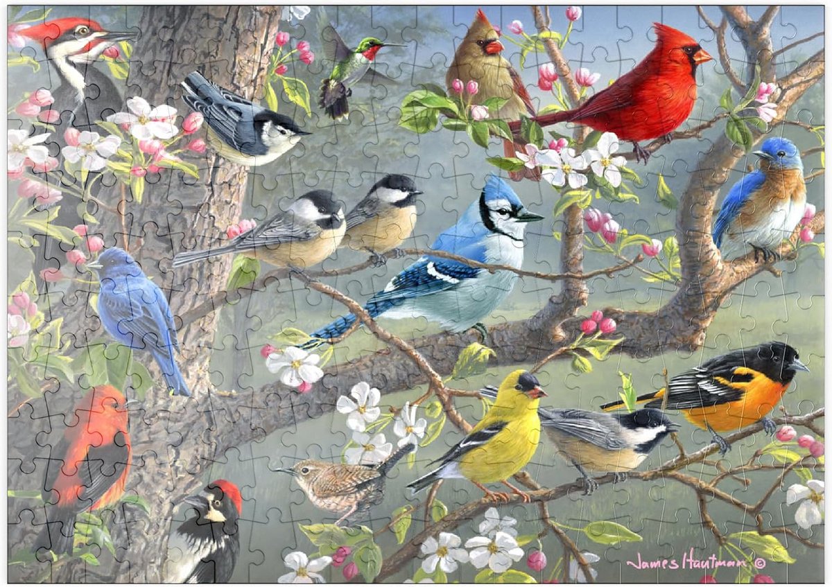 200 Stukken Puzzel Kleurrijke Vogels in Bloesemboom