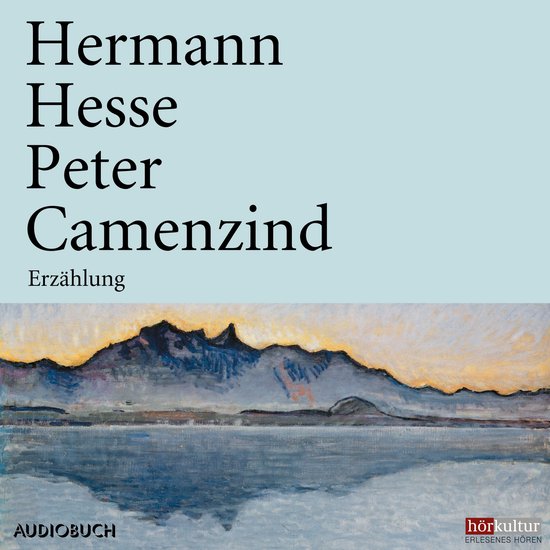 Peter Camenzind - cover