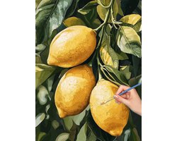 Schilderen op nummer - Creatieve hobby - Ontspanning thuis - Linnen canvas - 30x40 cm - Fruit design