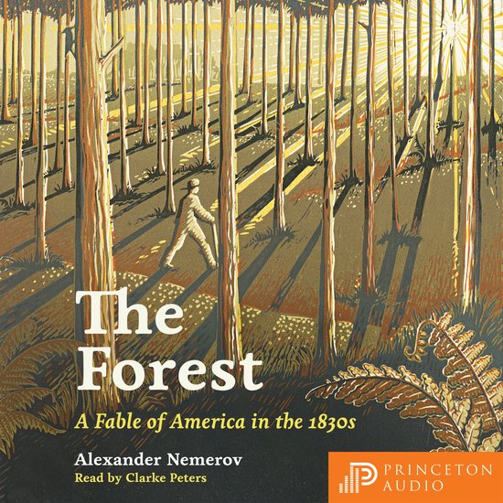 The Forest - cover