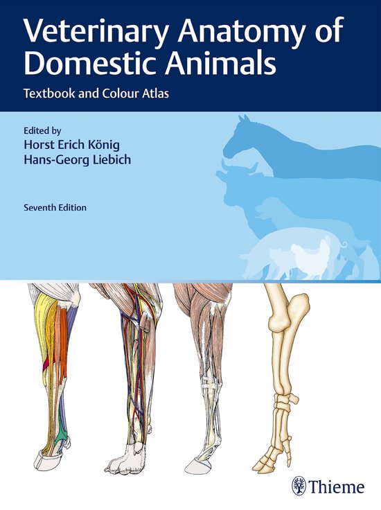 Veterinary Anatomy of Domestic Animals - cover