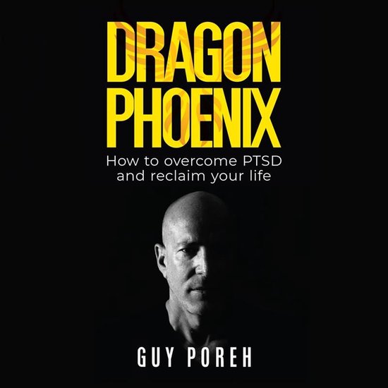 Dragon Phoenix - cover