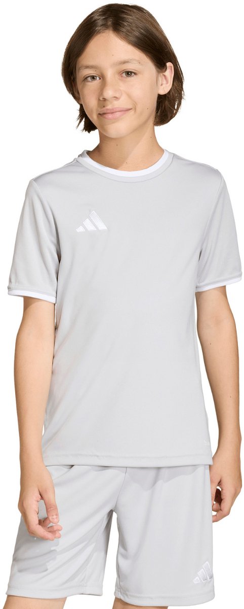adidas T-shirt Kinderen Entrada 26 Jersey Grijs - Maat 140cm