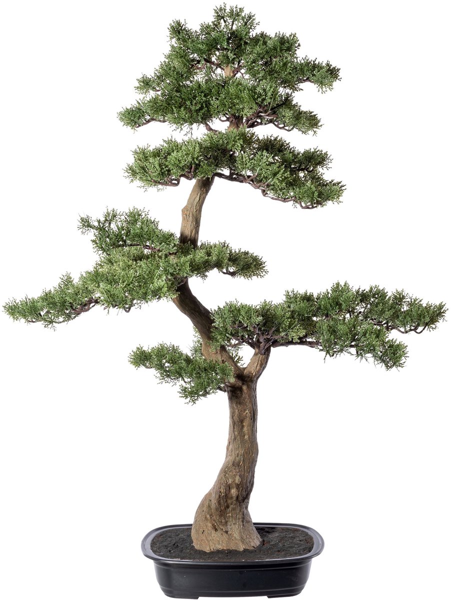 Kopu Kunstmatige Cederbonsai - Ca. 100 X 60 cm - In Een Zwarte Plastic Pot