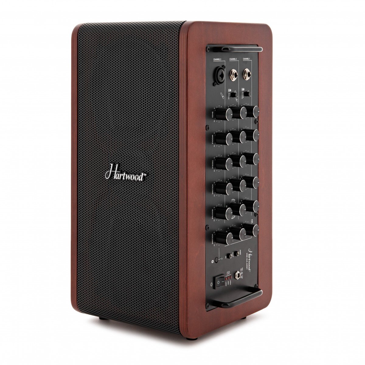 Hartwood Draagbare 60W Akoestische Versterker met Bluetooth