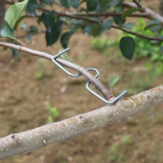 50 stuks - Takspreiders voor fruitbomen, takkenvormers, takkentrekkers, takkentrainers, hulpmiddelen voor het buigen en corrigeren van takken voor scheve bomen, bonsai en rozen. van Merkloos	 — afbeelding 3