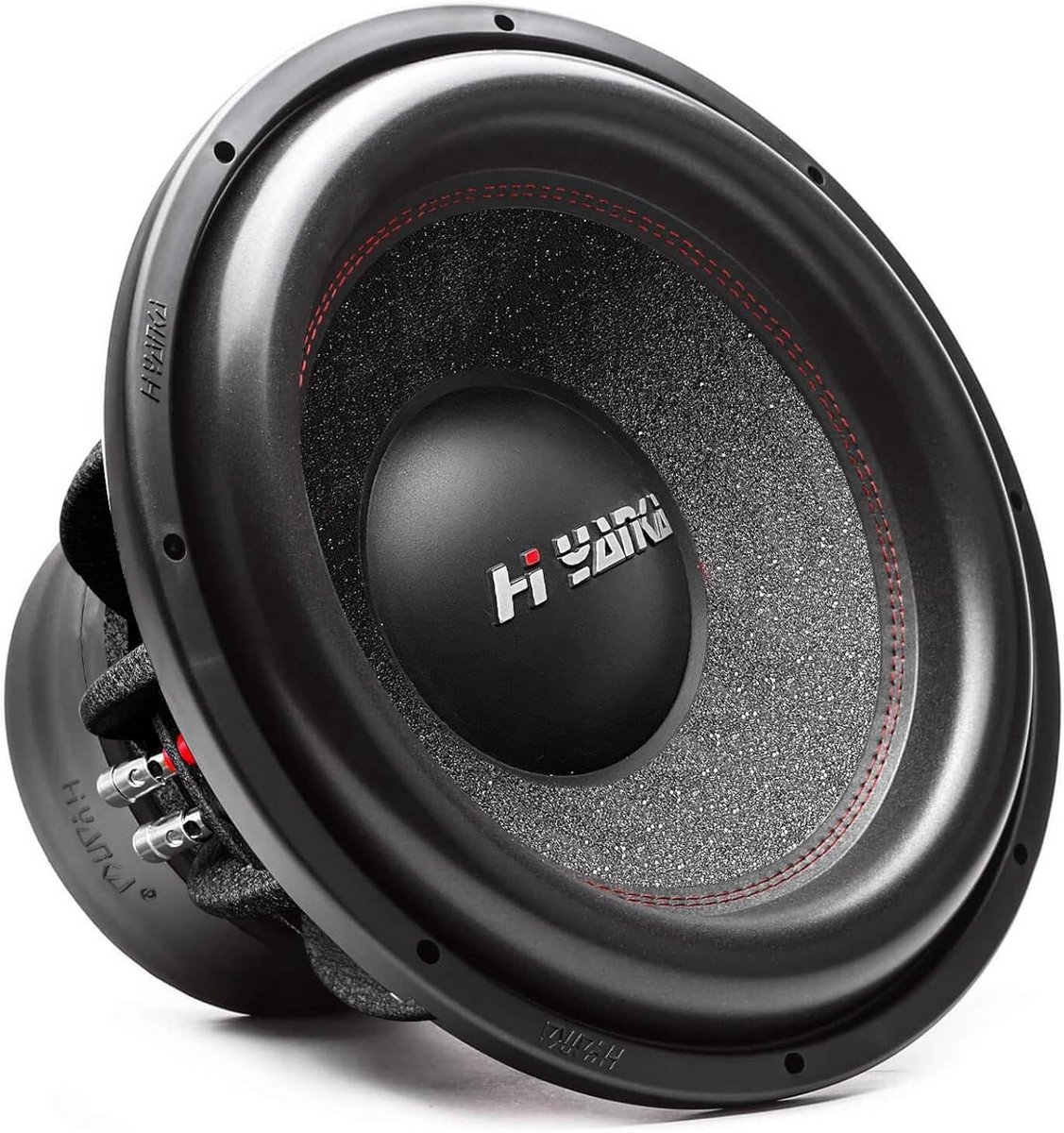 10 Inch Auto Subwoofer met 1000W Max Vermogen en Diepe Bas