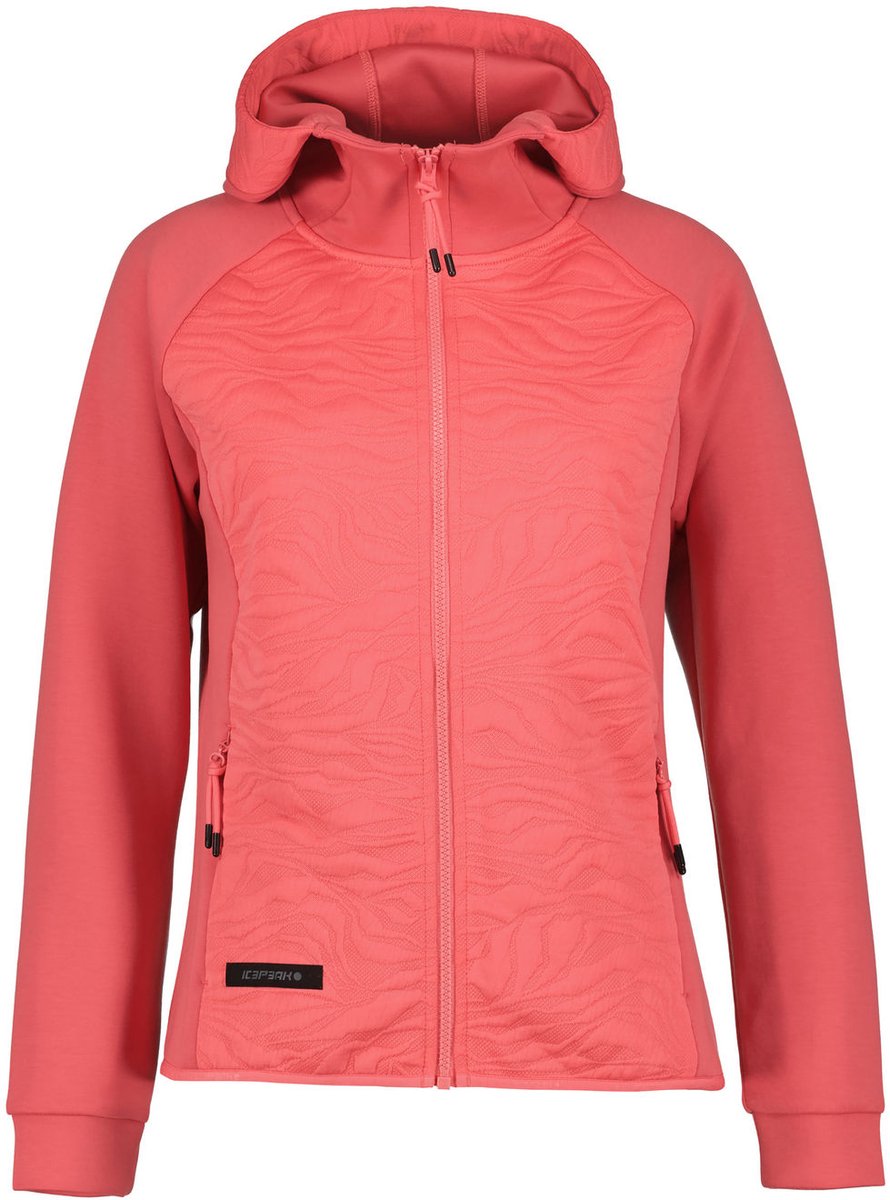Icepeak Amberg – Outdoor Kleding Fleeces en Truien Fleece Mandarin