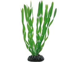 Realistische Kunstplant Aquarium Vallisneria - Stevige Basis voor Waterplanten