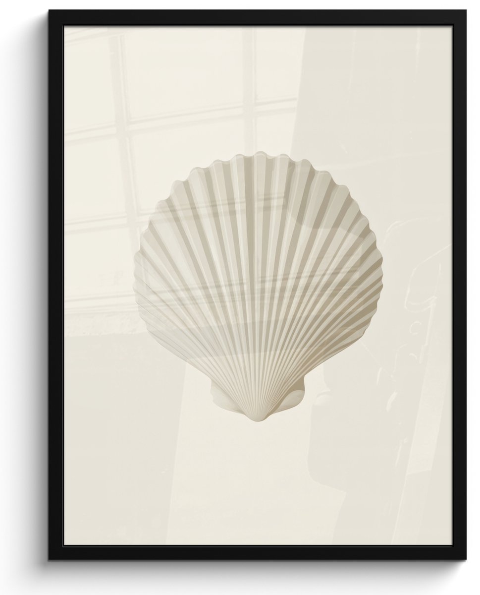 FrameYourWall Poster in lijst - Fotolijst 50x70 cm - Posters - Schelp - Minimalistisch - Wit - Posterlijst zwart - Decoratie - Wanddecoratie woonkamer - Muurdecoratie slaapkamer
