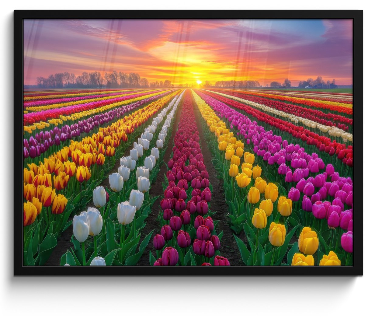 FrameYourWall Poster in lijst - Fotolijst 70x50 cm - Posters - Tulpenveld - Zonsondergang - Kleurrijk - Posterlijst zwart - Decoratie - Wanddecoratie woonkamer - Muurdecoratie slaapkamer Tulpen - Kleurrijk
