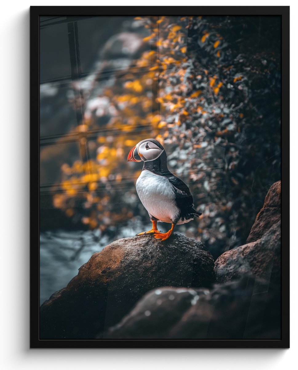 FrameYourWall Poster in lijst - Fotolijst 50x70 cm - Posters - Papegaai - Vogel - Rots - Wit - Posterlijst zwart - Decoratie - Wanddecoratie woonkamer - Muurdecoratie slaapkamer Papegaaiduiker