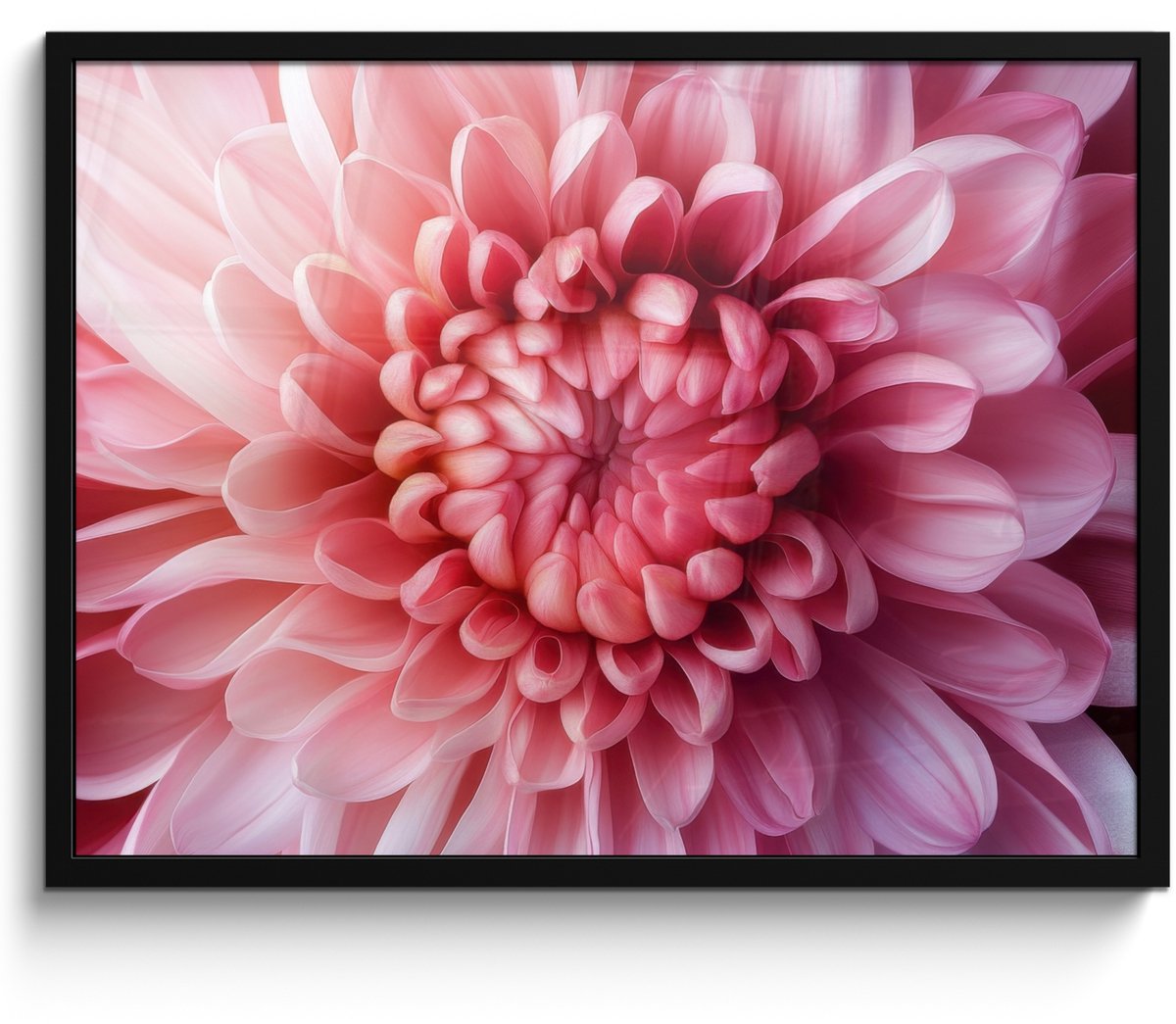 FrameYourWall Poster in lijst - Fotolijst 70x50 cm - Posters - Dahlia - Bloem - Close up - Roze - Posterlijst zwart - Decoratie - Wanddecoratie woonkamer - Muurdecoratie slaapkamer