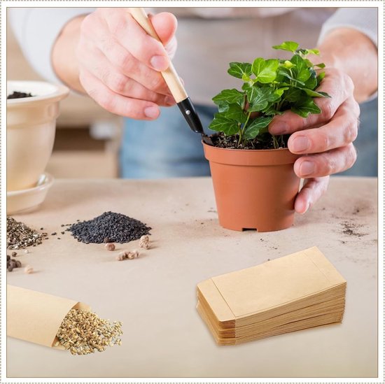 100 sachets en papier kraft - Mini sachets en papier kraft - 10 x 6 cm - Résistants à la déchirure - Sachets de graines en papier kraft - Plateaux adhésifs pour le stockage du maïs et du riz