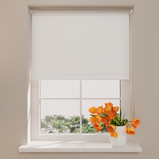 Store enrouleur Pure mini Thermo - Occultant - White - 70 x 150 cm