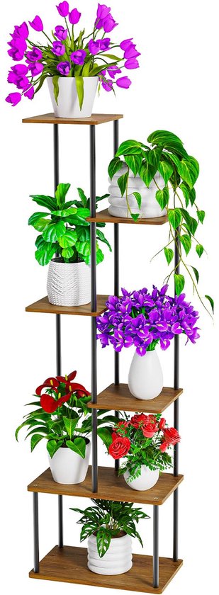 Plantenkrukje/Planten Standaard 'Ascot
