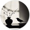 Silhouet, Minimalisme, Vogel, Zwart, wit, grijs