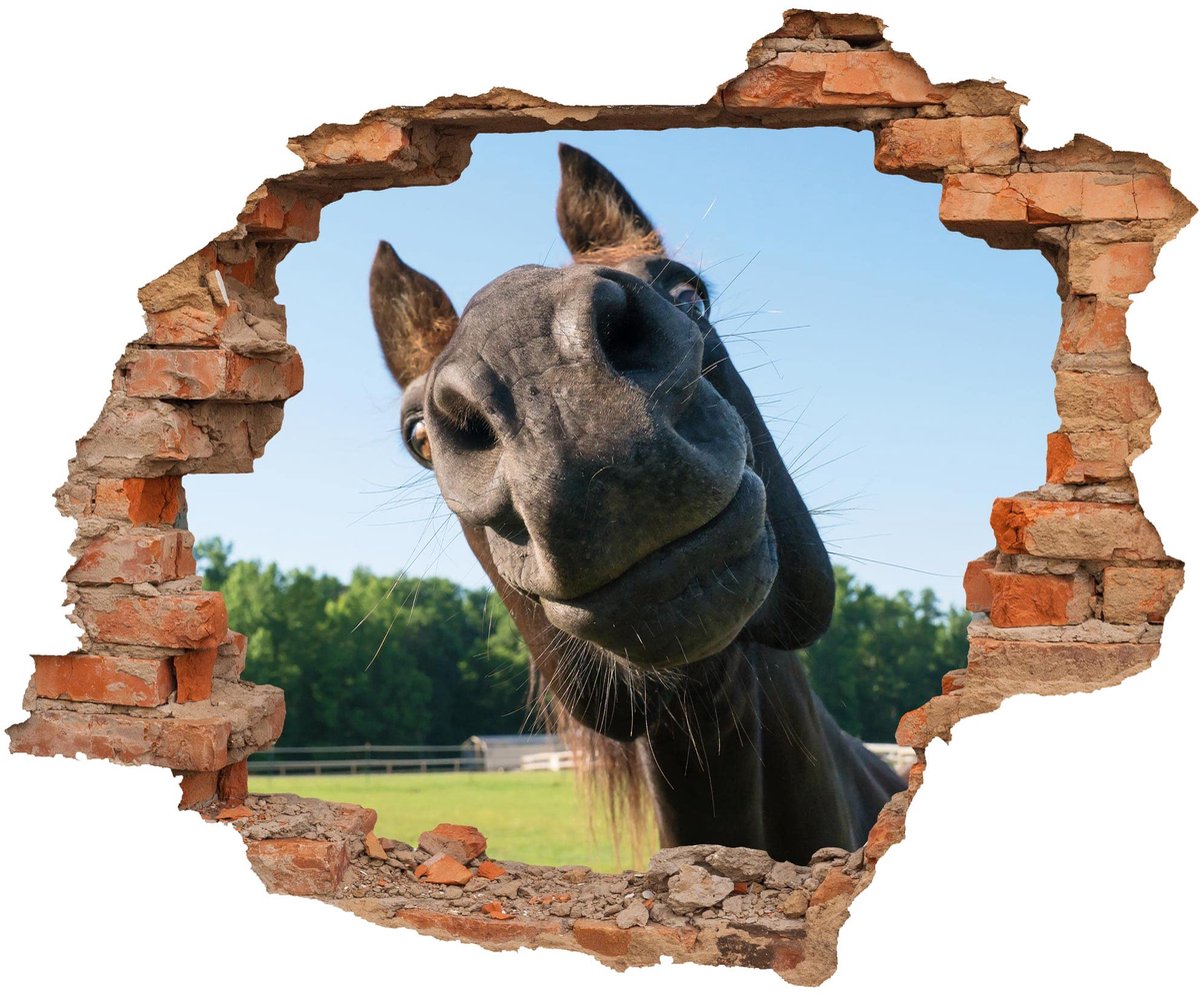 WCB Muursticker - Muuropening met zicht op paardenhoofd 90 x 74 cm - Muursticker