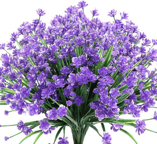 Foto: 