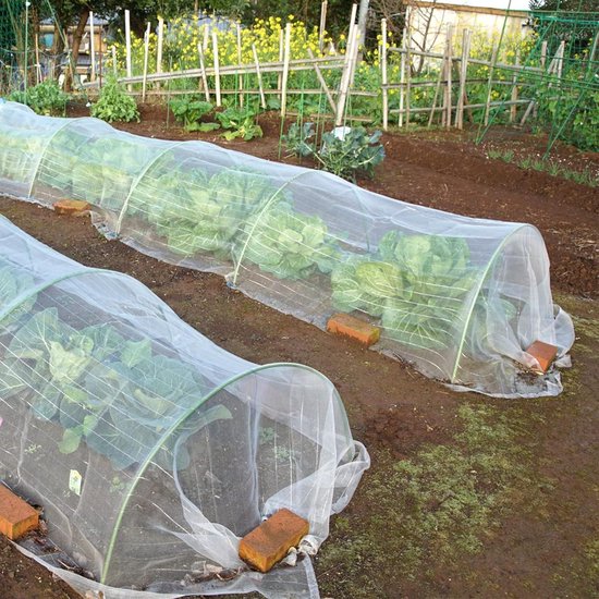 Yardwe Lot de 4 plateaux de culture pour serre et germination127 - Jardin