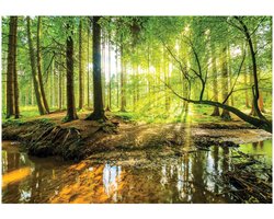 Top 10 fotobehang voor een sfeervolle accentmuur 2026: WALLARENA Fotobehang Zon in het Bos 350 x 250 cm